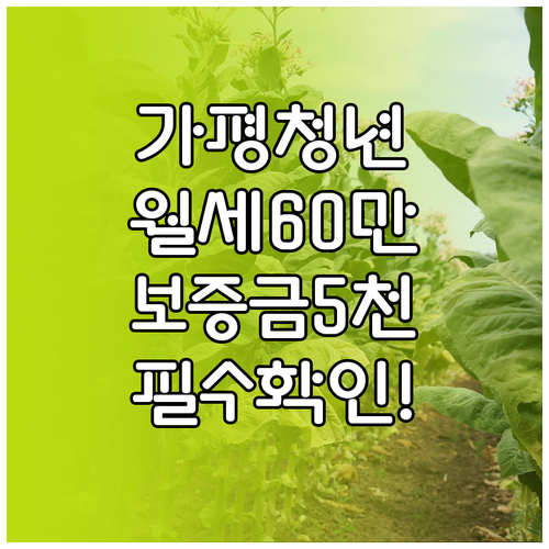 가평군 청년월세지원 보증금 5천만원 월세 60만원 조건