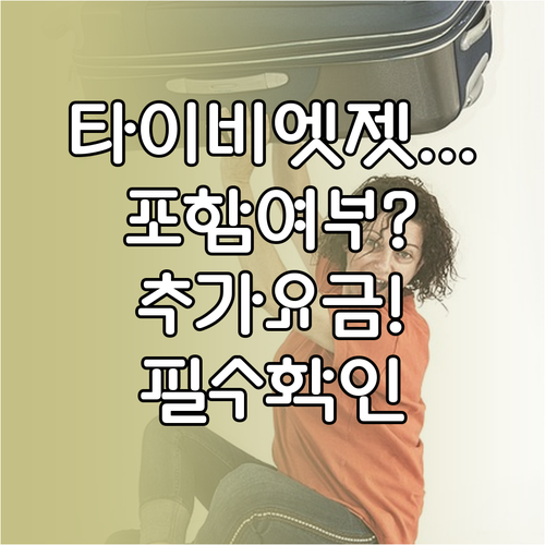 타이비엣젯 위탁수하물, 포함 여부와 추가 요금 확인하세요