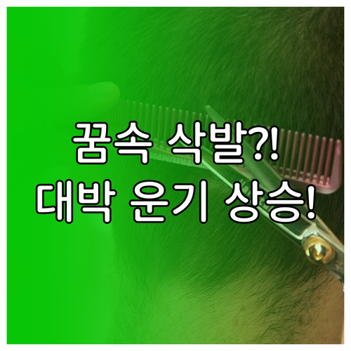 image 2c90407c