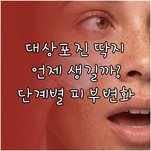 image 2d223df3