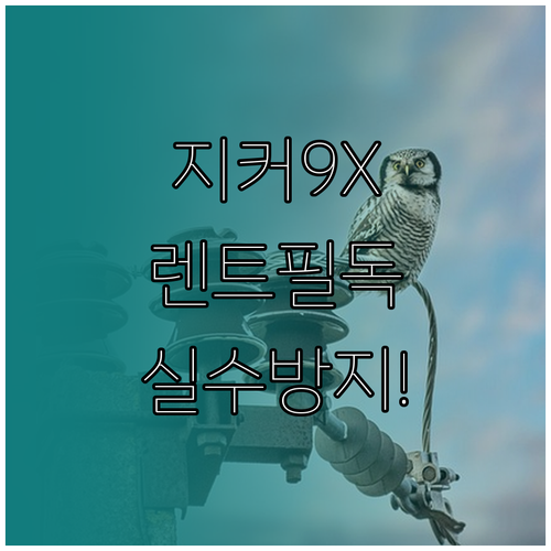 지커 9X 장기렌트 계약 전 필독 정보 및 주의사항