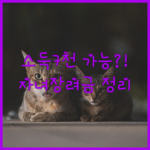 image 74501ecc