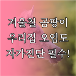 image 90dcd4a9