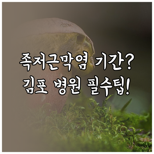 족저근막염 치료 기간과 김포 병원 고를 때 확인해야 할 핵심 체크리스트