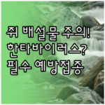 image 9eb69053