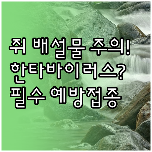 들쥐 배설물 주의 한타바이러스 예방접종 대상자와 감염 증상 알아보기