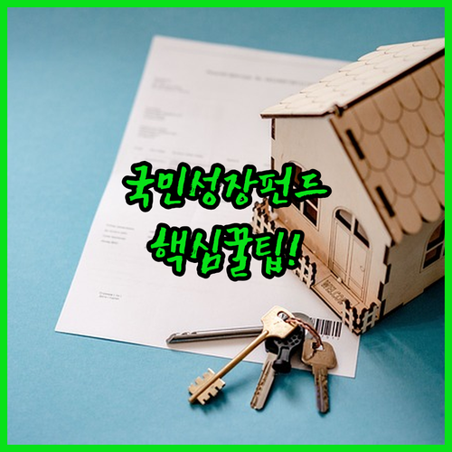 국민성장펀드 5년 만기 구조와 투자 시 고려사항