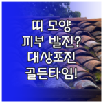 image a73e72e6