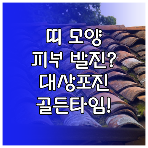 image a73e72e6