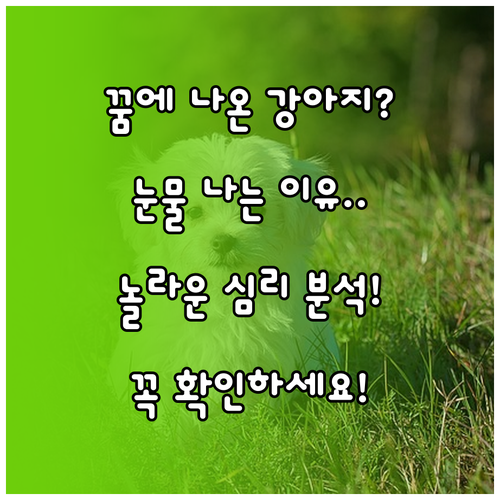image a7b668ae