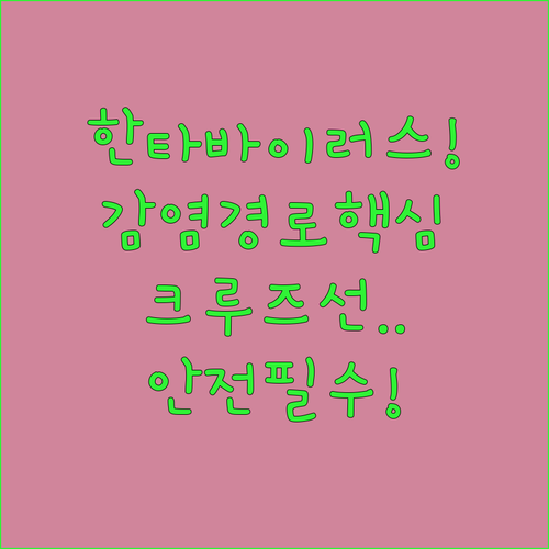 한타바이러스 감염 경로 분석과 크루즈선 안전 수칙