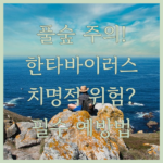 image b795c3f2