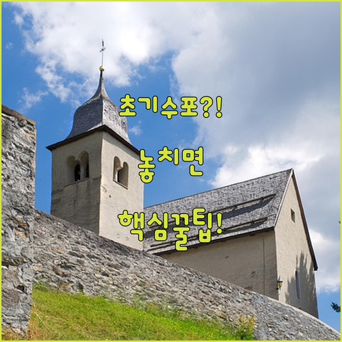 image d1a56ebb