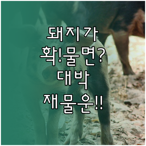 image ea62770a