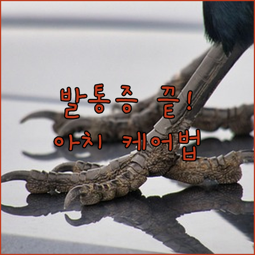 image f0fc5a25