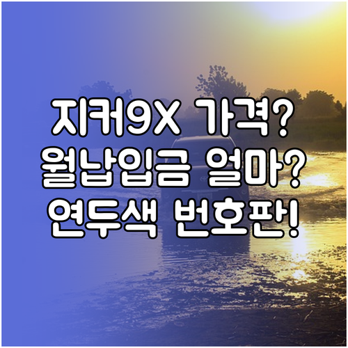 지커 9X 예상 가격과 할부 납입금 | 법인 리스 연두색 번호판 정보