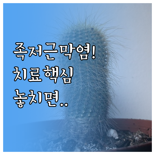 image ffa2f943
